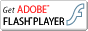 Flash Player�Υ����������