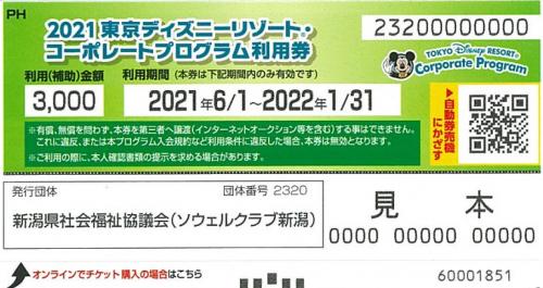 ソウェルクラブ新潟事務局 会員交流イベント詳細